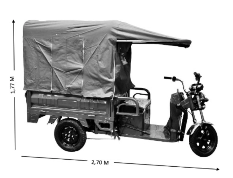TRICICLO 'TORITO' ELECTRICO - 500 KILOS + TOLDO DE REGALO - 4