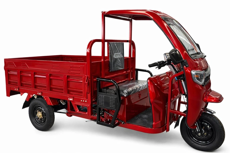 TRICICLO 'TORITO' MOTOR ELECTRICO + MOTOR BENCINA - 1