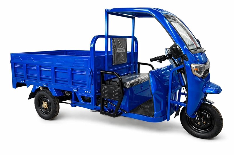 TRICICLO 'TORITO' MOTOR ELECTRICO + MOTOR BENCINA - 1