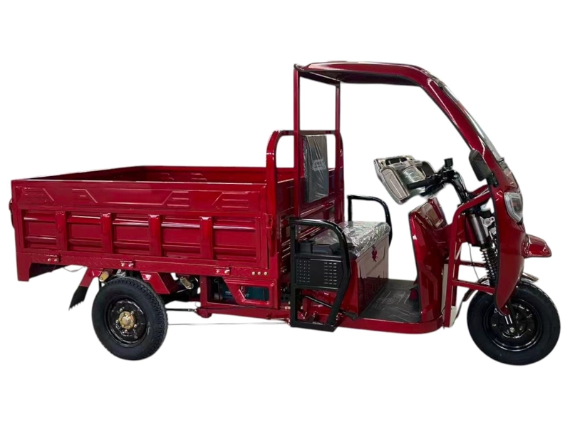 TRICICLO 'TORITO' MOTOR ELECTRICO + MOTOR BENCINA - 2