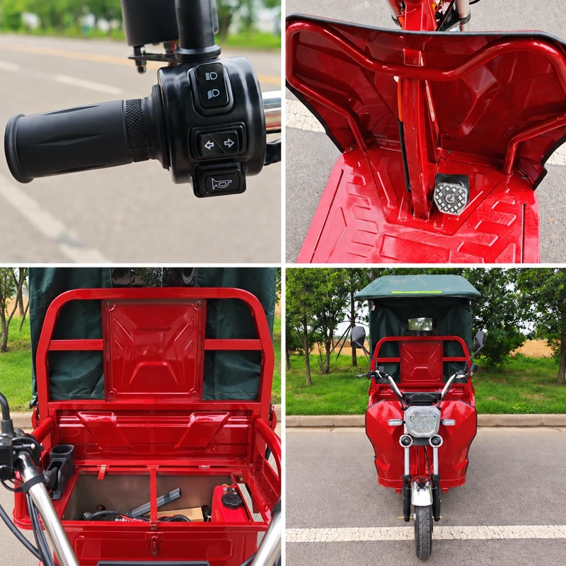TRICICLO 'TORITO' BENCINA + ELECTRICIDAD  PARA 500 KILOS - 800W - 2