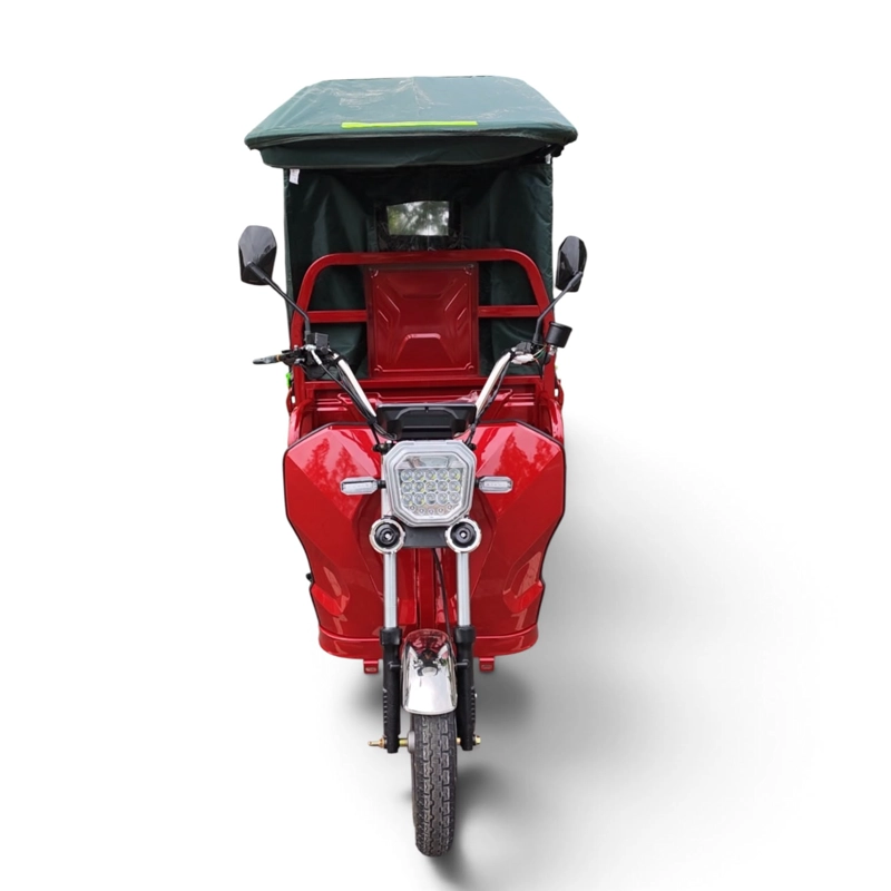 TRICICLO 'TORITO' BENCINA + ELECTRICIDAD  PARA 500 KILOS - 800W - 5