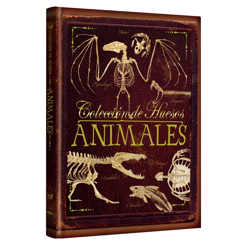COLECCION DE HUESOS ANIMALES - 1