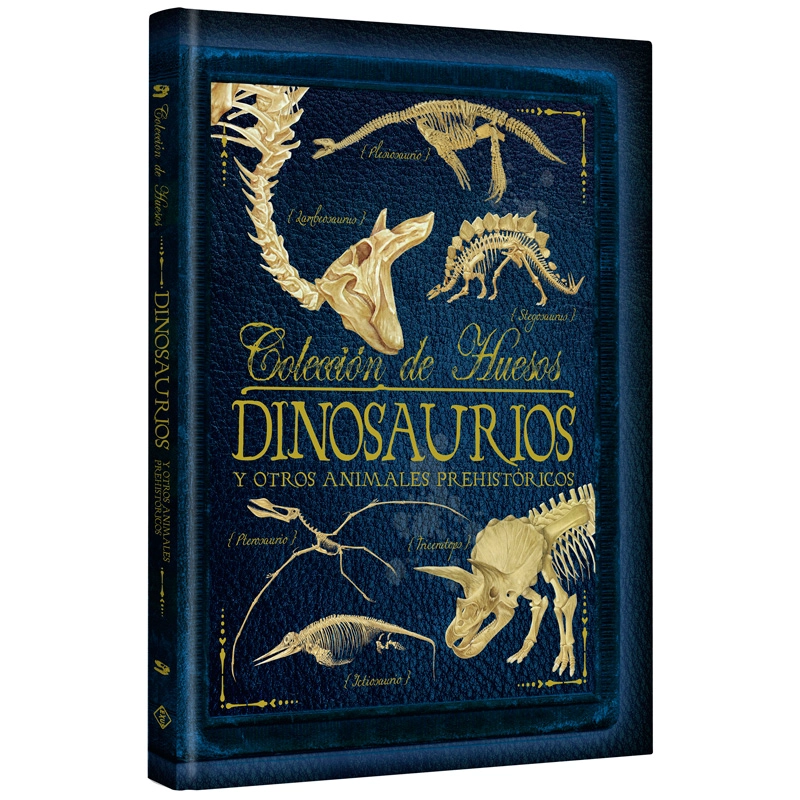 COLECCION DE HUESOS DINOSAURIOS - 1