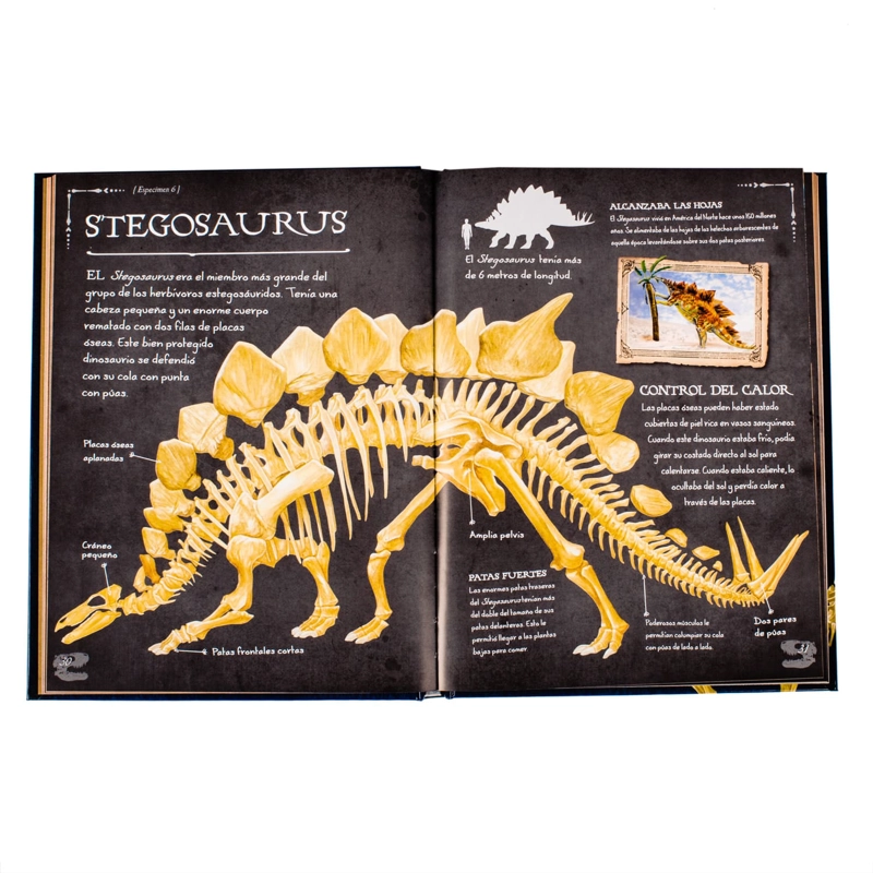 COLECCION DE HUESOS DINOSAURIOS - 2