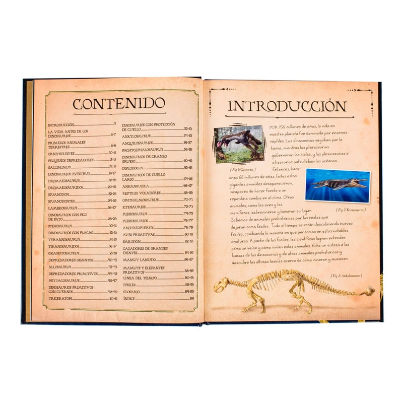 COLECCION DE HUESOS DINOSAURIOS - 4
