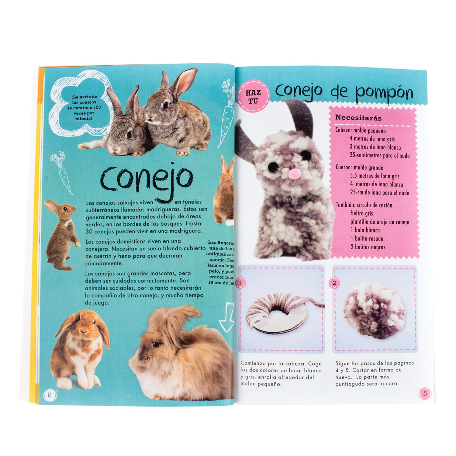 POMPON MASCOTAS - 4
