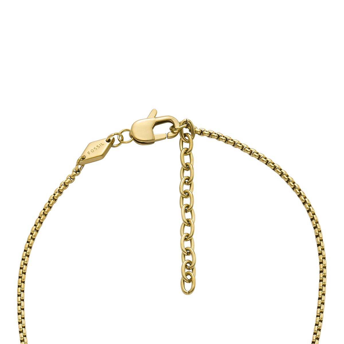 COLLAR FOSSIL  JF04701710 DORADO HOMBRE - 4