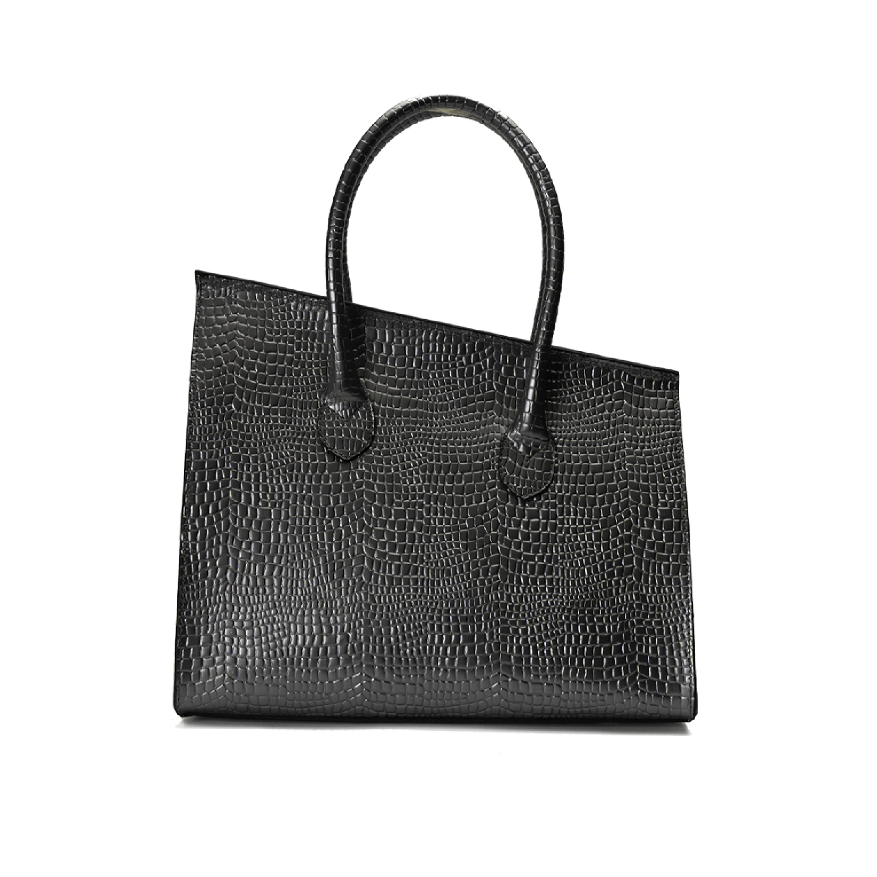 CARTERA DE MANO PLATA RAPTOR LANDAZURI - 2