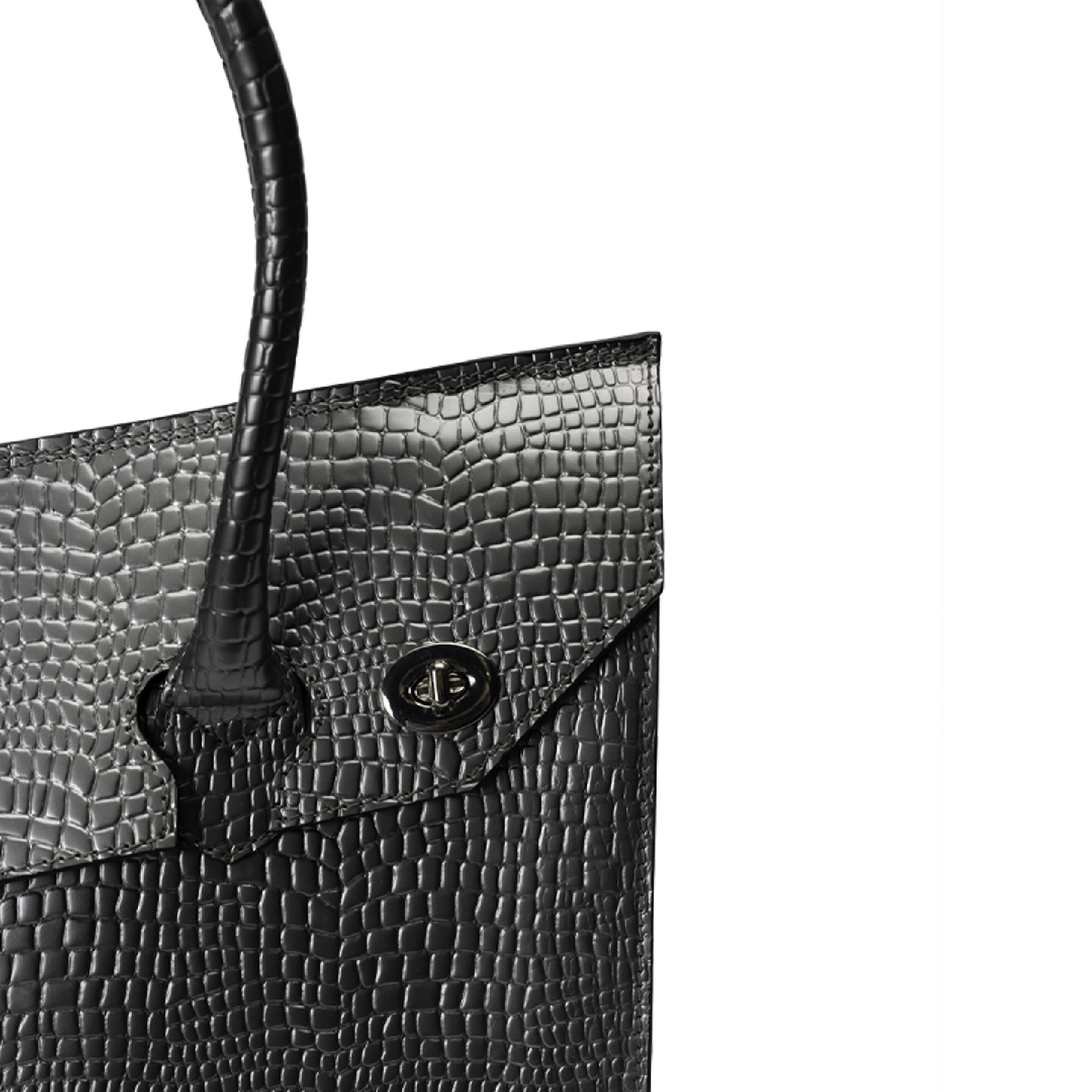 CARTERA DE MANO PLATA RAPTOR LANDAZURI - 5