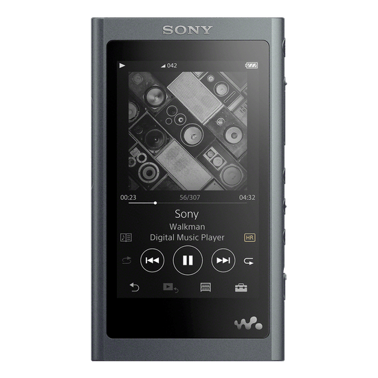 【美品】SONY WALKMAN NW-A55HN（G） REPRODUCTOR SONY NW-A55HN/RM LA