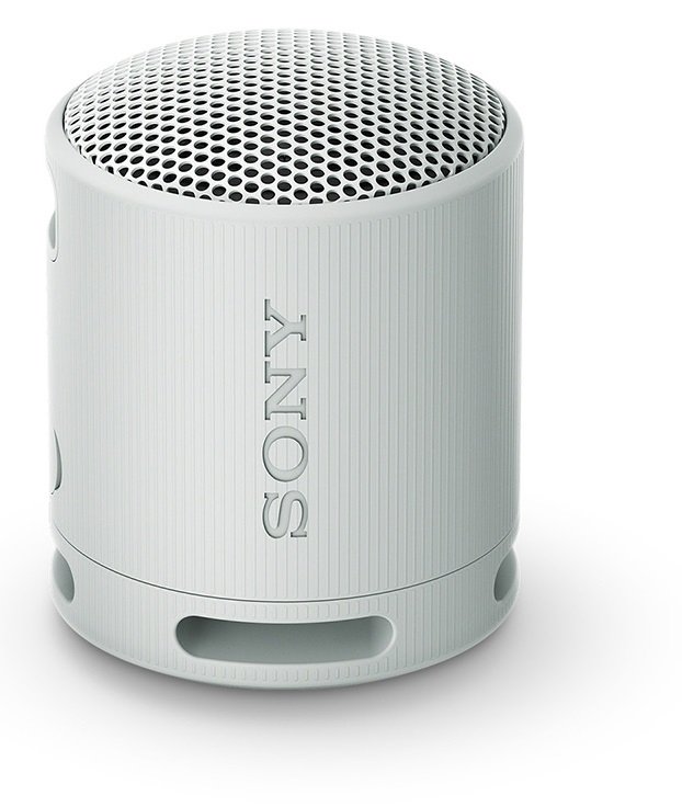 PARLANTE BLUETOOTH SRS-XB100 GRIS - 1
