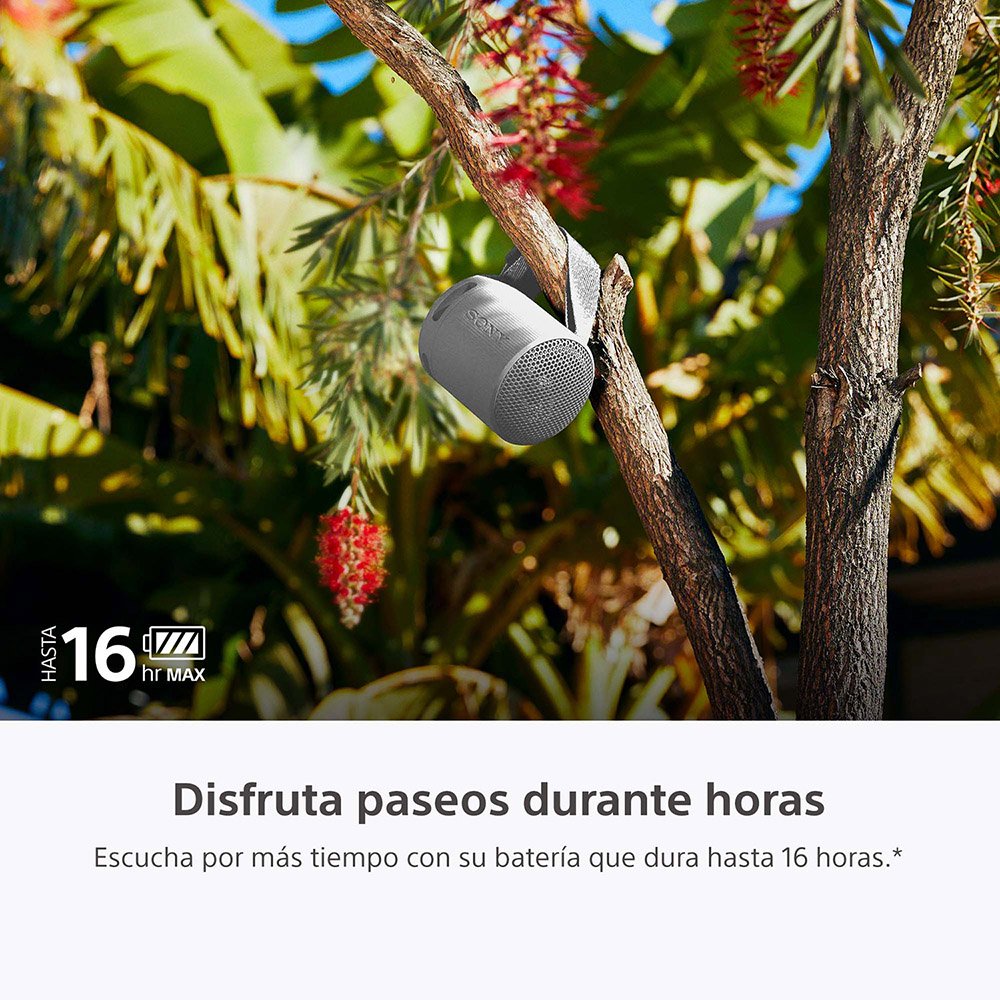 PARLANTE BLUETOOTH SRS-XB100 GRIS - 6