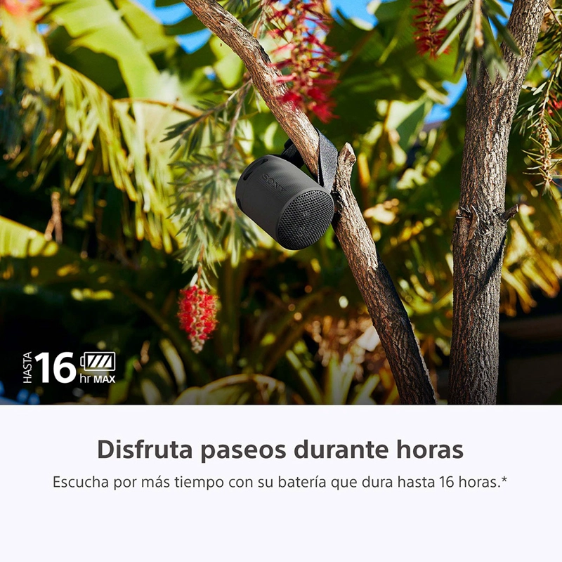 PARLANTE BLUETOOTH SRS-XB100 NEGRO - 7