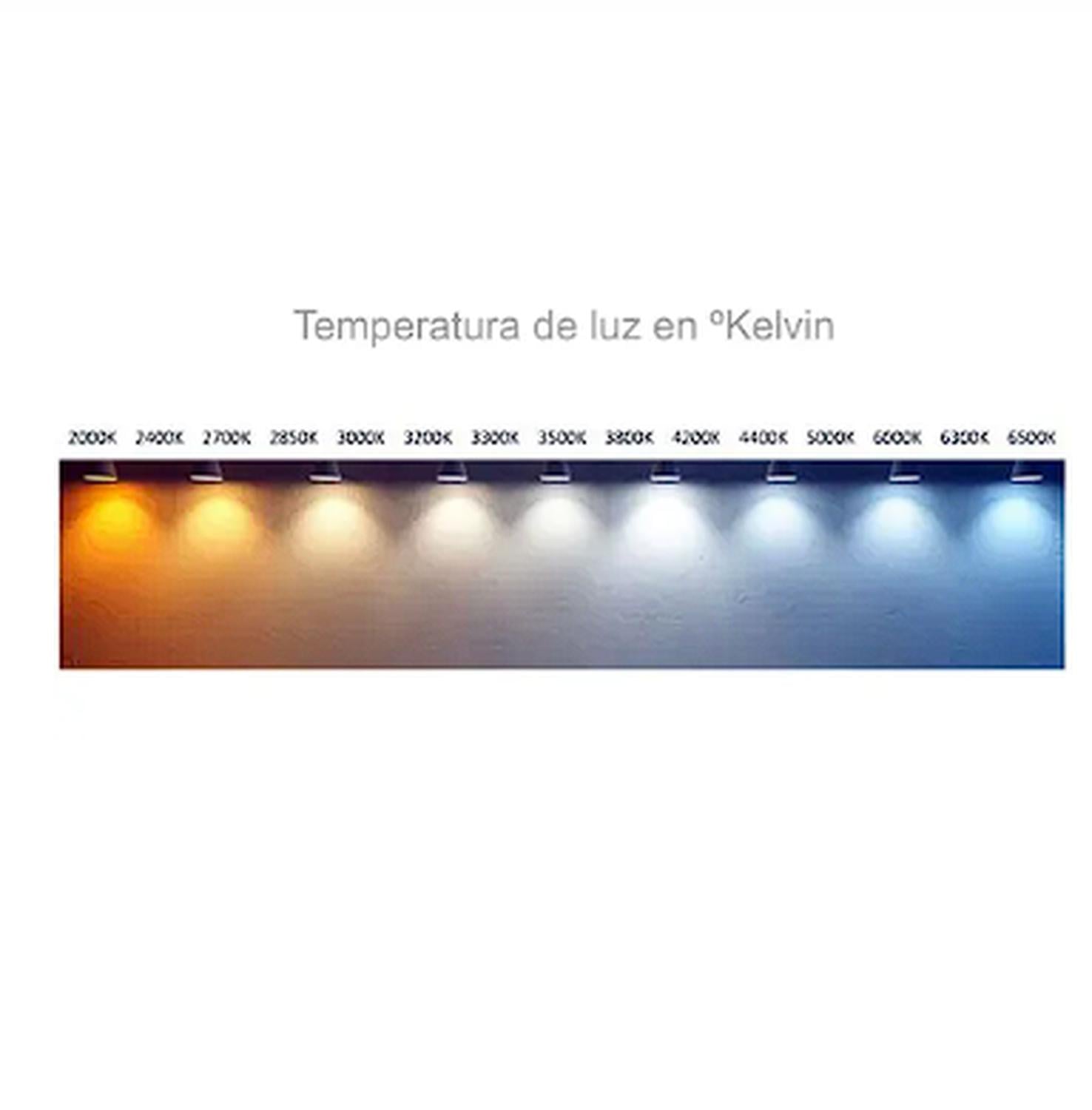 AMPOLLETA HALOGENA H4 12V 60/55W P43T T4.625 AZUL (PAR) - 4