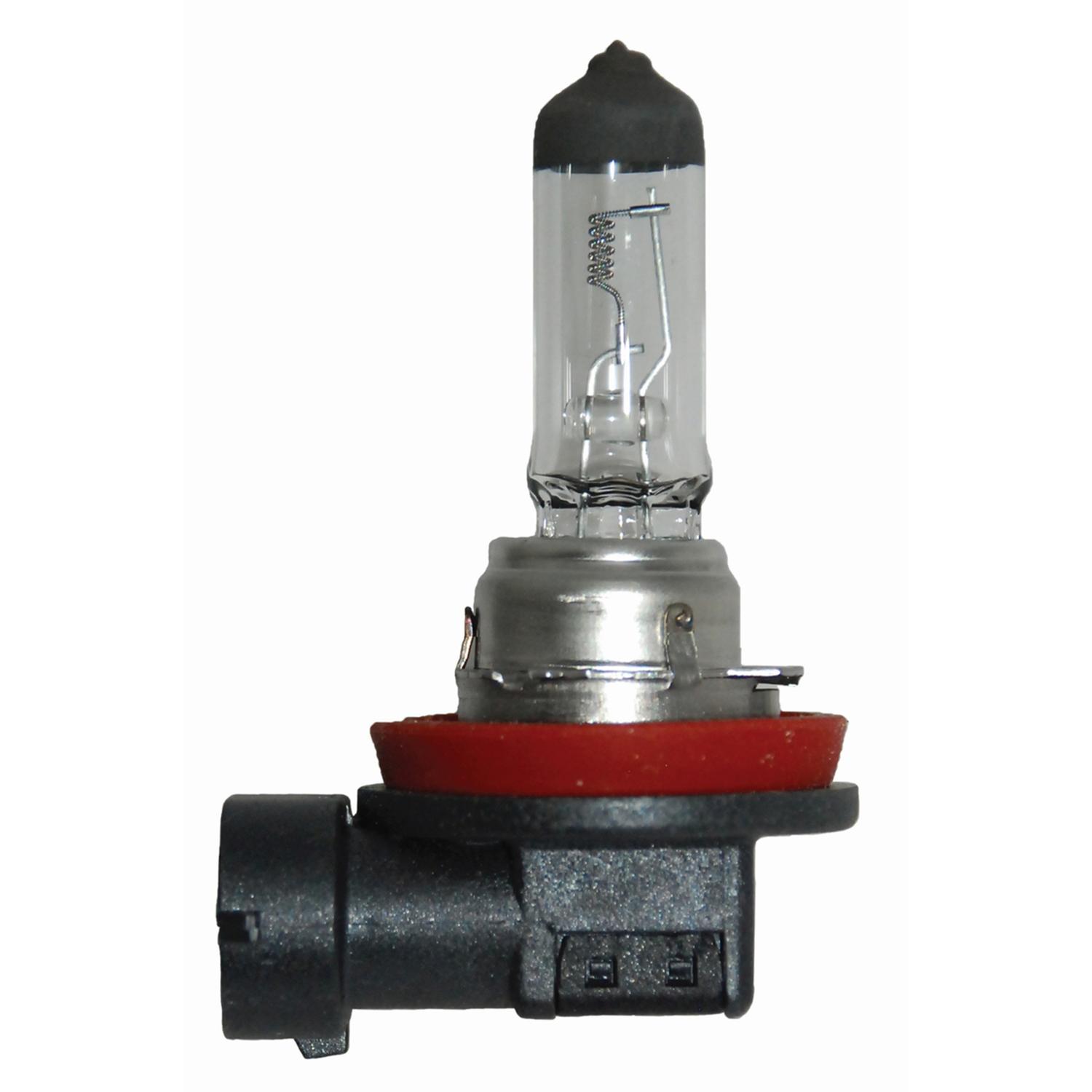 AMPOLLETA HALOGENA H11 24V 70W PGJ19-2 - 1