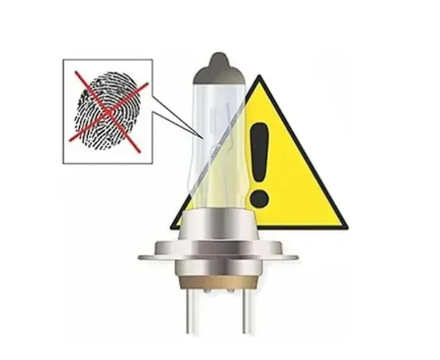 AMPOLLETA HALOGENA H7 12V 55W PX26D CRISTAL - 4