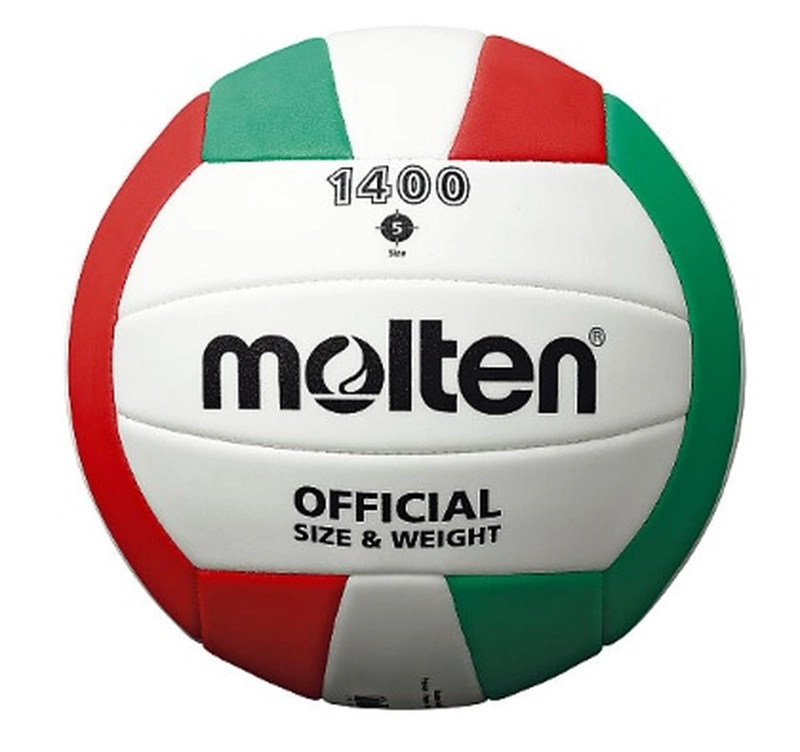 BALON DE VOLEIBOL MOLTEN V5C 1400 - 1