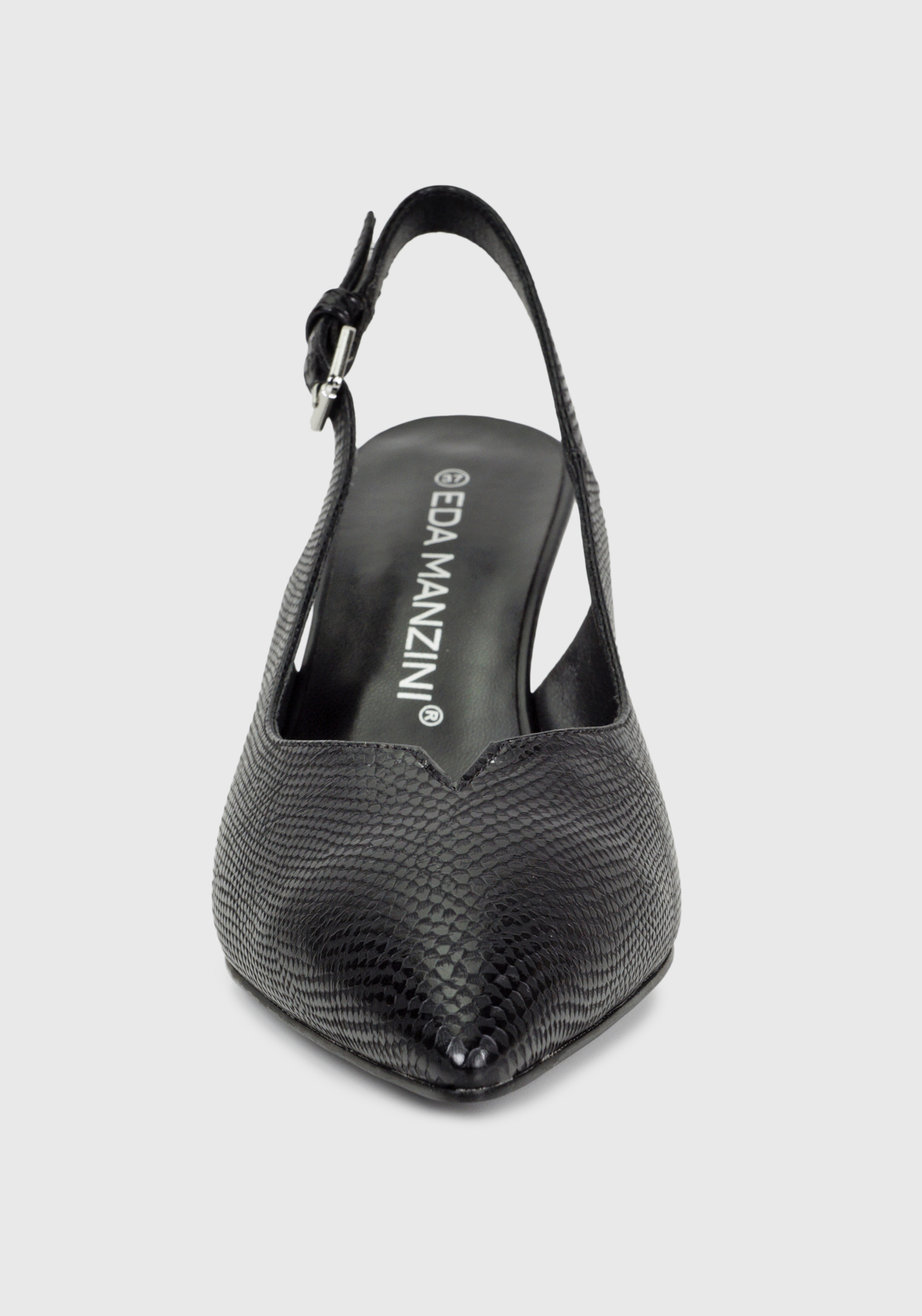 ZAPATO ALBIONI NEGRO - 3