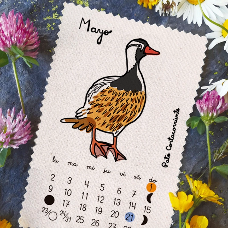 CALENDARIO 2022 PAJARITO DE MIMBRE AVES - 6