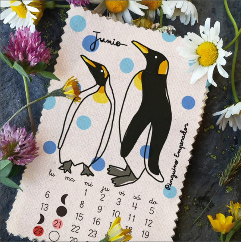 CALENDARIO 2022 PAJARITO DE MIMBRE AVES - 7