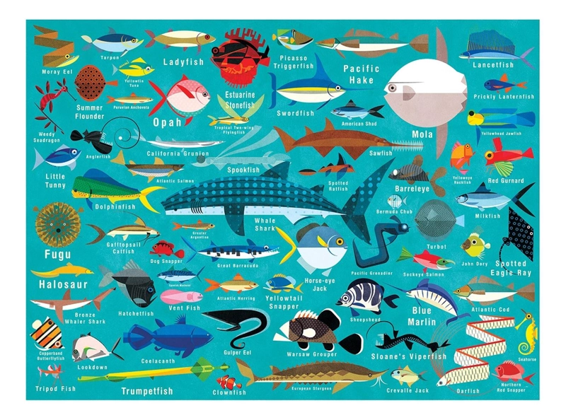 PUZZLE MUDPUPPY MULTICOLOR 1000PCS VIDA DEL OCEANO - 1