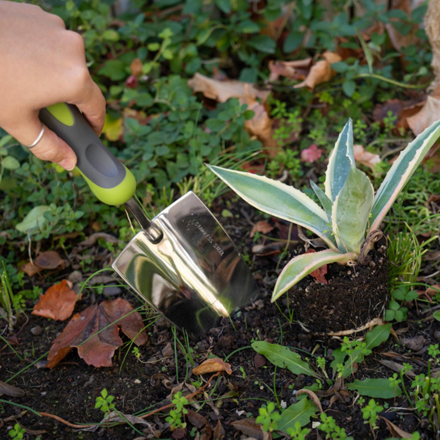 PALA JARDINERA ACERO INOXIDABLE Y MANGO ANTIDESLIZANTE GROUW - 4