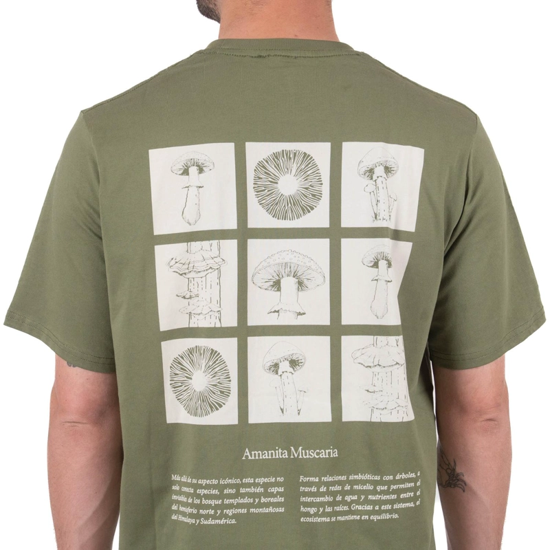 POLERA MANGA CORTA HOMBRE AMANITA MUSCARIA LHOTSE - 6