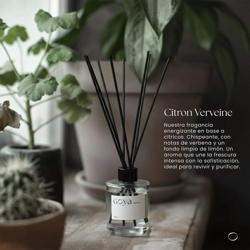 PACK HOME SPRAY + DIFUSOR VARITAS CITRON VERVEINE GOYA - 7