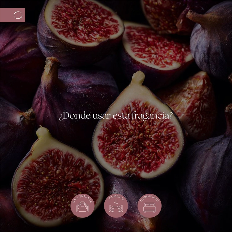 PACK HOME SPRAY + DIFUSOR VARITAS FIG MARIE GOYA - 8