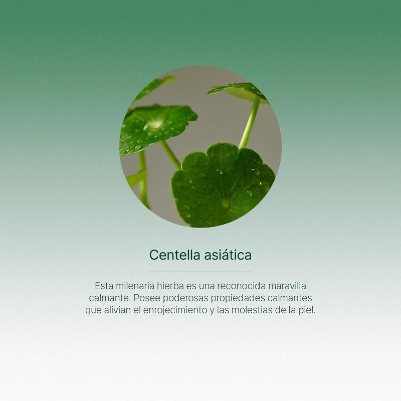 PACK RUTINA FACIAL CENTELLA ASIATICA PURITO SIN PERFUME - 3