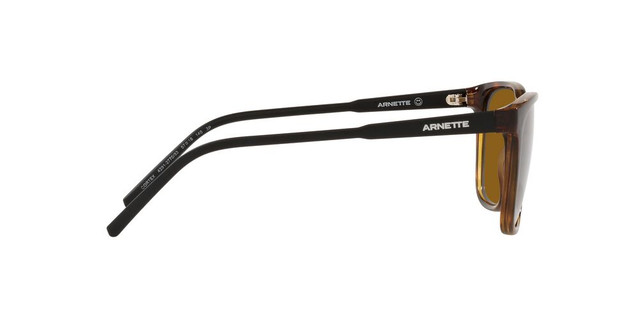 ANTEOJOS DE SOL ARNETTE AN4291 - 4