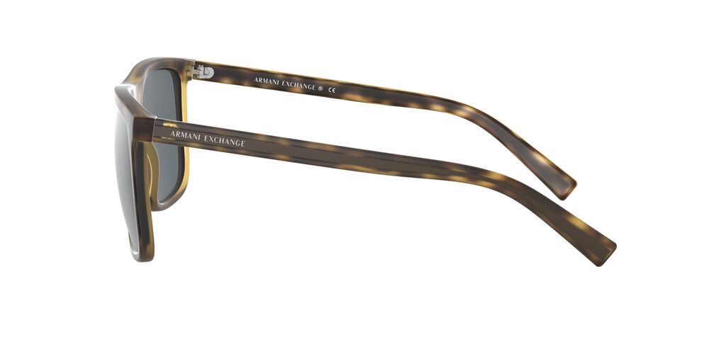 ANTEOJOS DE SOL EMPORIO ARMANI EA4163 - 3