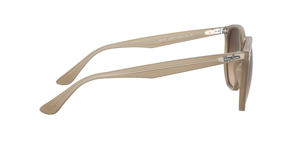 ANTEOJOS SOL RAY-BAN RB4306 54 - 3