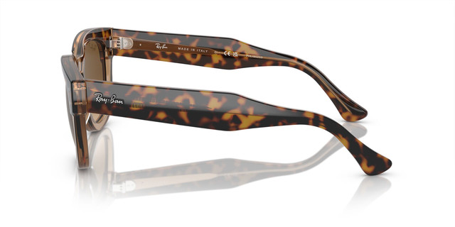 ANTEOJOS SOL ARNETTE 0AN4326U SAMHTY VERDE HOMBRE - 8