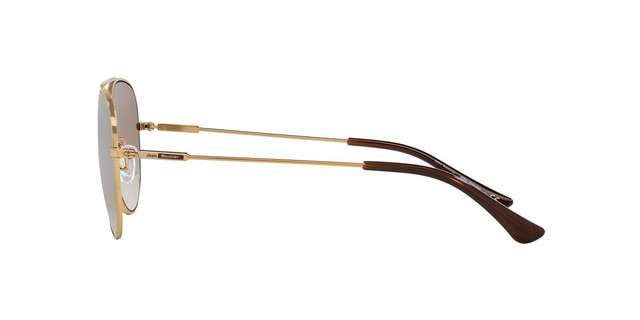 ANTEOJOS SOL RAY-BAN 0RB3721 CAFÉ UNISEX - 3