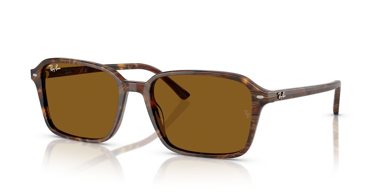 ANTEOJOS DE SOL RAY-BAN RB2231 RAIMOND CAFÉ UNISEX - 2