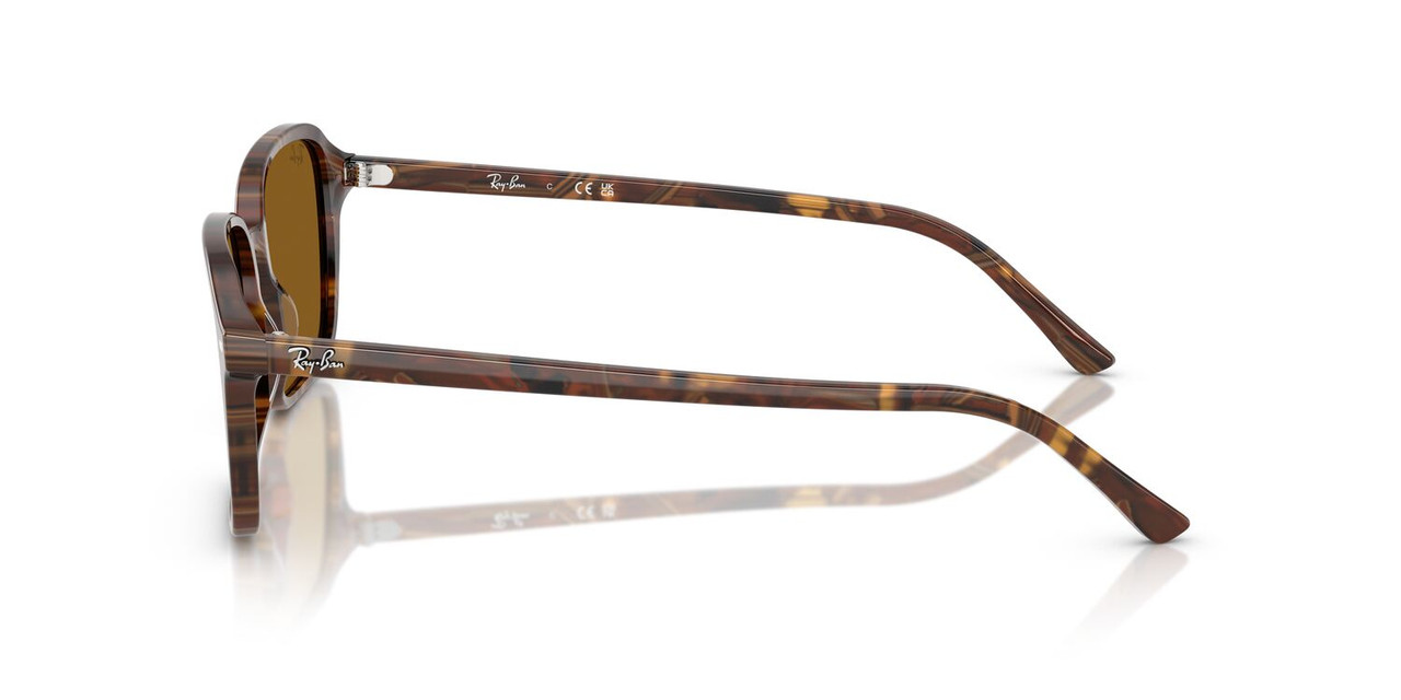 ANTEOJOS DE SOL RAY-BAN RB2231 RAIMOND CAFÉ UNISEX - 3