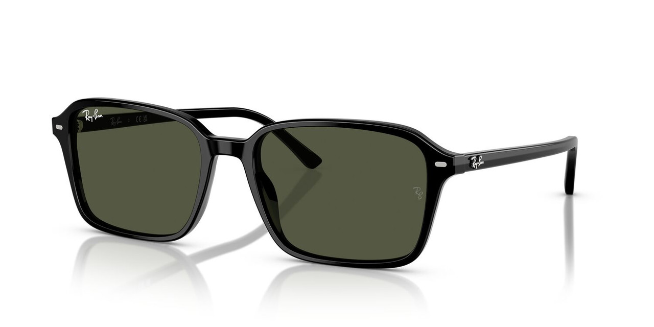 ANTEOJOS DE SOL RAY-BAN RB2231 RAIMOND NEGRO UNISEX - 2