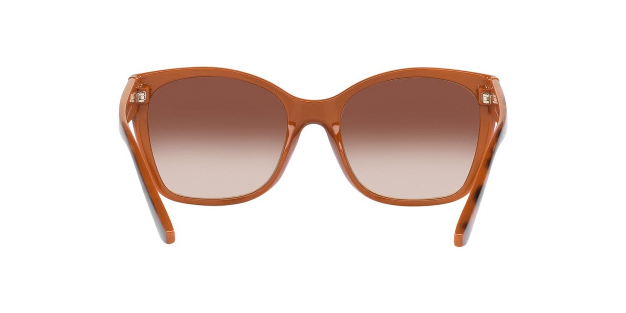 ANTEOJOS DE SOL JACK PACIFIC JK1036M HAVANA MUJER - 4