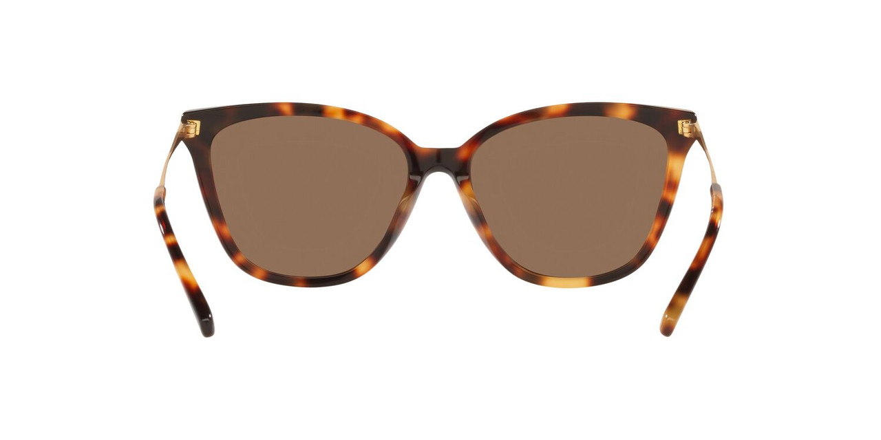 ANTEOJOS DE SOL JACK PACIFIC JK6001M  HAVANA MUJER - 4