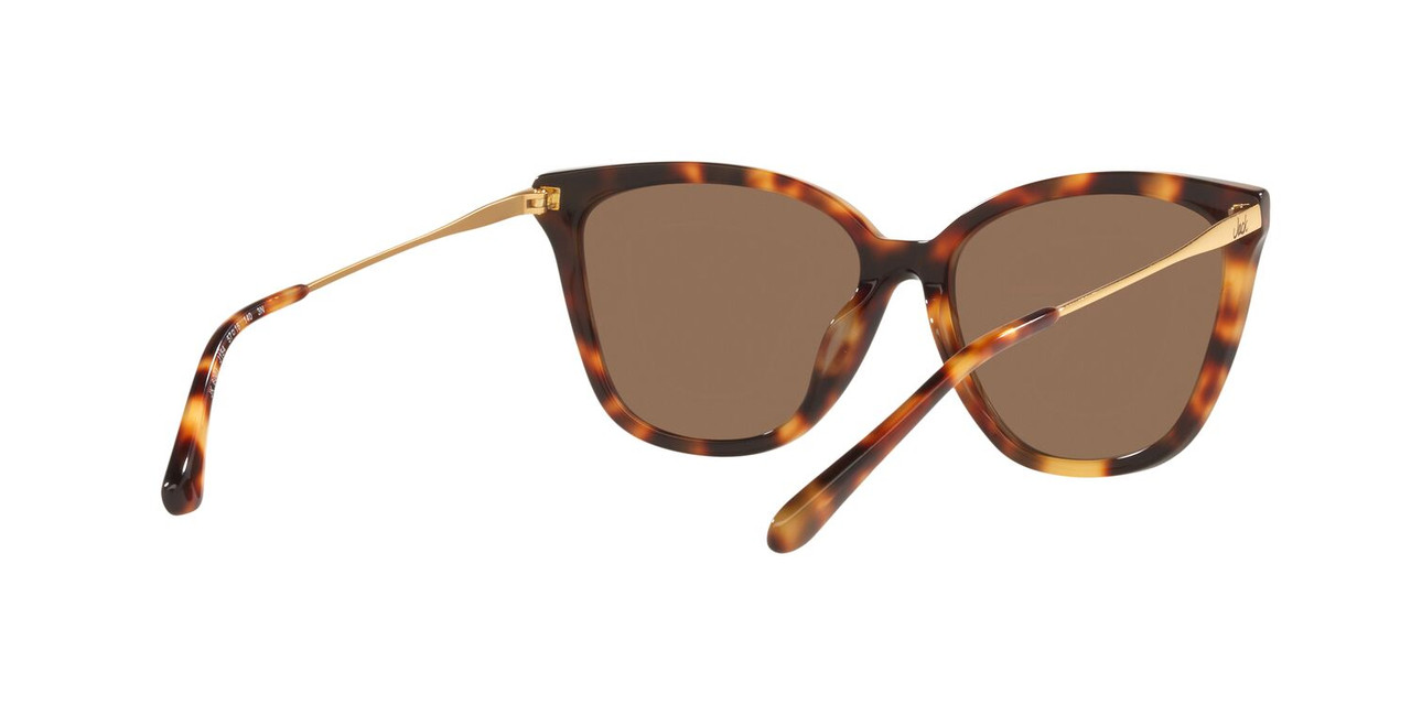ANTEOJOS DE SOL JACK PACIFIC JK6001M  HAVANA MUJER - 5