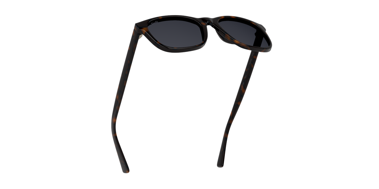 ANTEOJOS DE SOL DBYD DB4007 DBSU5000 HAVANA UNISEX - 5