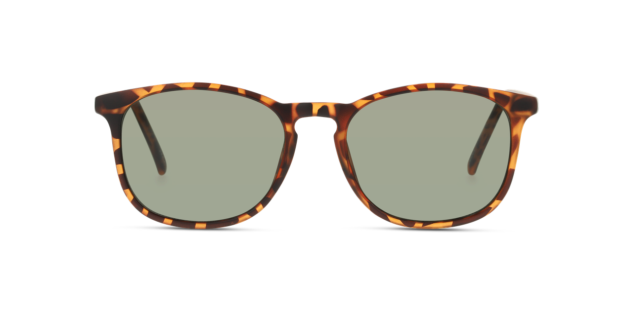 ANTEOJOS DE SOL SEEN NE6007 SNSU0020 HAVANA UNISEX - 2
