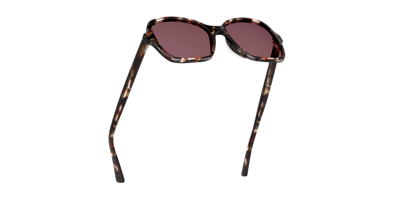 ANTEOJOS DE SOL DBYD DB4012 DBSF5008 HAVANA UNISEX - 5