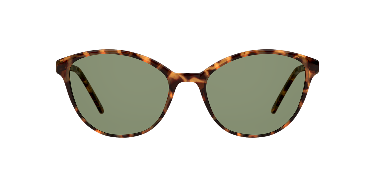 ANTEOJOS DE SOL SEEN NE6004 SNSF0024 HAVANA UNISEX - 1