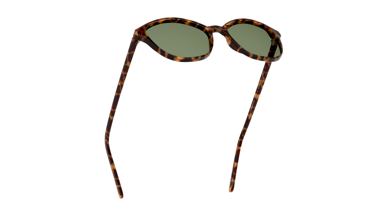 ANTEOJOS DE SOL SEEN NE6004 SNSF0024 HAVANA UNISEX - 5