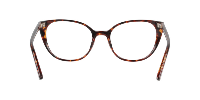 ANTEOJOS ÓPTICOS SEEN HAVANA BROWN 0NE3080 HAVANA MUJER - 5