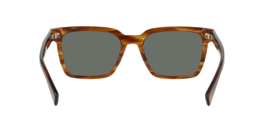 ANTEOJOS DE SOL DBYD HAVANA BROWN GREEN 0DB4048 HAVANA HOMBRE - 5