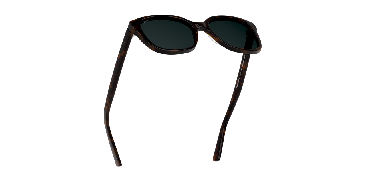 ANTEOJOS DE SOL DBYD DBSF5000 0DB4006 HAVANA UNISEX - 5